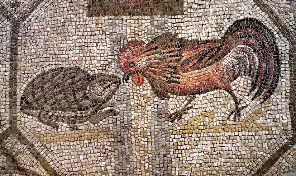 Imagini pentru mosaico aquileia