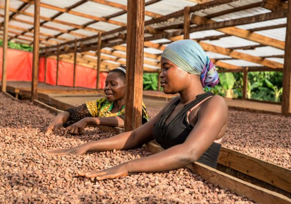 donne controllano fave di cacao 