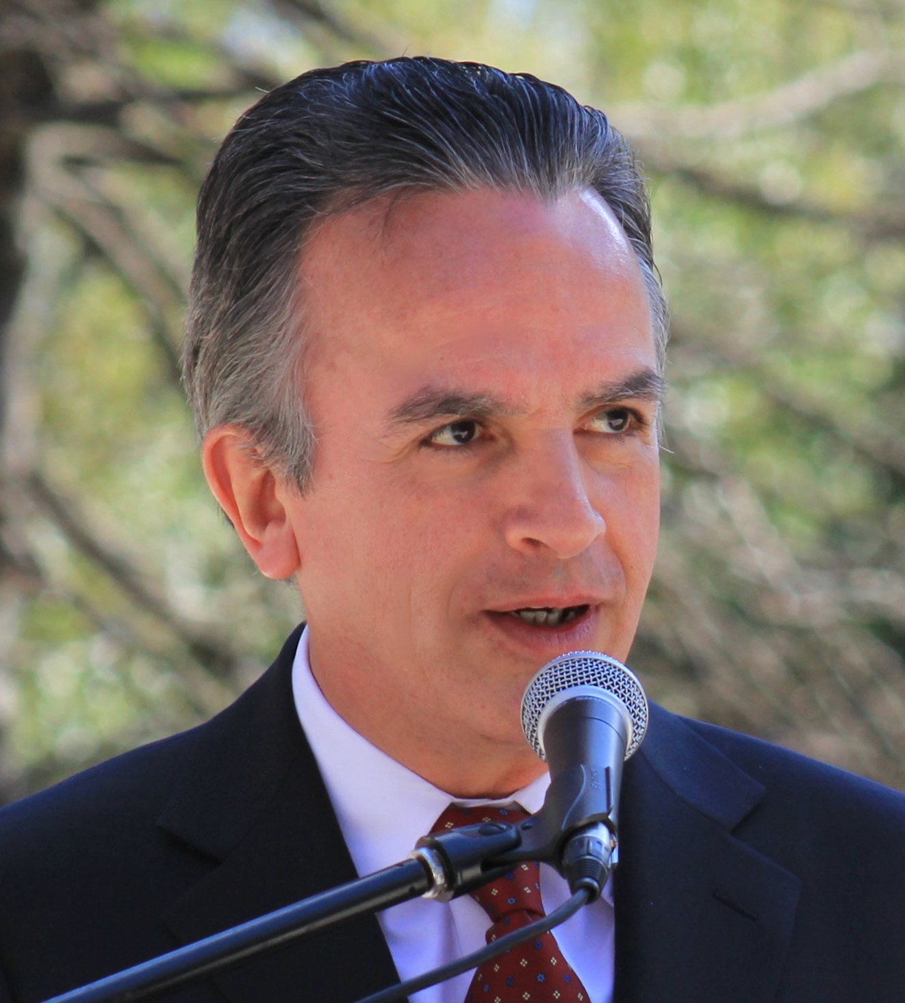 Miguel Ruiz-Cabañas Izquierdo, ambasciatore del Messico  presso lo Stato italiano