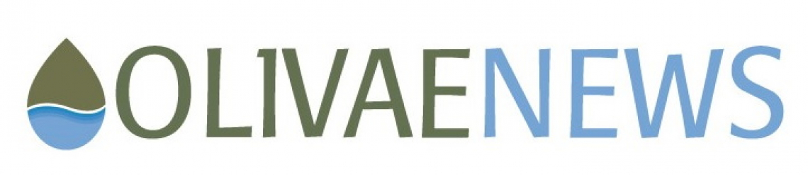 Olivaenews logo